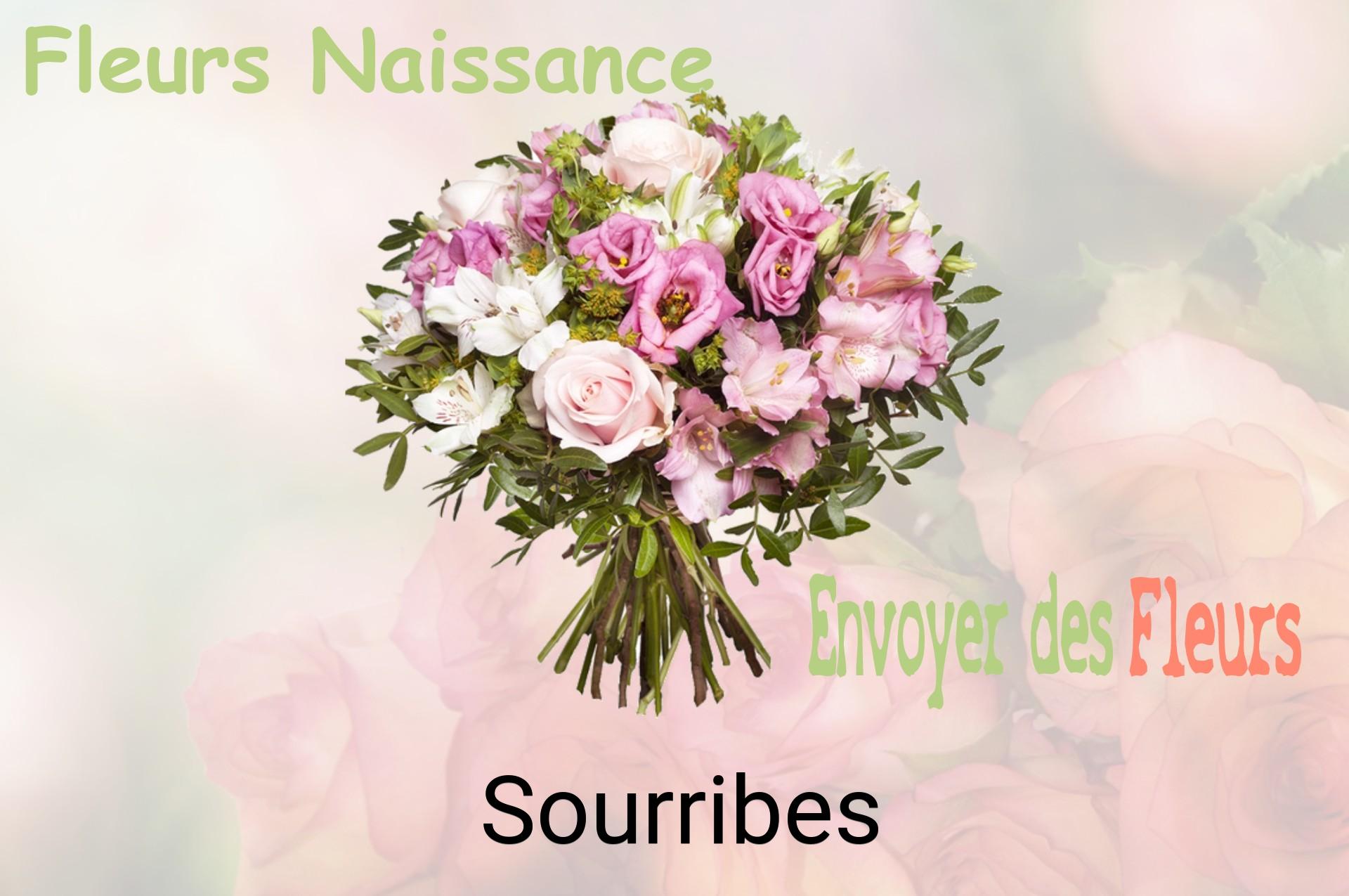 Bouquet de fleurs de naissance livré à Sourribes
